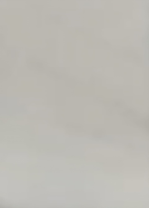 Shadow Muse Polewear &